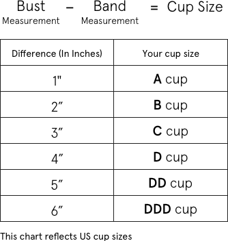 What is the difference between different bra sizes with an